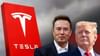ਕੀ ਟਰੰਪ ਦੀ ਗੱਲ ਮੰਨ ਰਹੇ ਹਨ ਐਲੋਨ ਮਸਕ? ਭਾਰਤ 'ਚ Tesla ਨੂੰ ਲੈ ਕੇ ਇਹ ਹੈ ਪਲਾਨ...