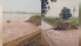 ਮੀਂਹ ਨੇ ਵਧਾਈਆਂ ਕਿਸਾਨਾਂ ਦੀਆਂ ਮੁਸ਼ਕਲਾਂ, ਮੱਕੀ-ਝੌਨੇ ਦੀਆਂ ਫਸਲਾं ਤਬਾਹ