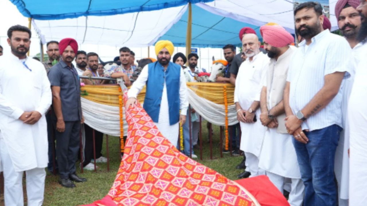 ਬੈਲ-ਗੱਡੀ ਦੌੜ ਸਮੇਤ ਹੋਰ ਵਿਰਾਸਤੀ ਖੇਡਾਂ ਮੁੜ ਹੋਣਗੀਆਂ ਸ਼ੁਰੂ, ਲੁਧਿਆਣਾ ਸਨਮਾਨ ਸਮਾਰੋਹ ‘ਚ ਪਹੁੰਚੇ CM ਬੈਲ-ਗੱਡੀ ਦੌੜ ਸਮੇਤ ਹੋਰ ਵਿਰਾਸਤੀ ਖੇਡਾਂ ਮੁੜ ਹੋਣਗੀਆਂ ਸ਼ੁਰੂ, ਲੁਧਿਆਣਾ ਸਨਮਾਨ ਸਮਾਰੋਹ ‘ਚ ਪਹੁੰਚੇ CM