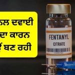 ਮੌਤ ਤੇ ਅਪਰਾਧ ਵਧਾ ਰਹੀ ਫੈਂਟਾਨਿਲ ਵਿੱਚ ਅਜਿਹਾ ਕੀ? ਜਿਸ ਲਈ ਟਰੰਪ ਨੇ ਕੈਨੇਡਾ ‘ਤੇ ਲਗਾਇਆ 35% ਟੈਰਿਫ ਮੌਤ ਤੇ ਅਪਰਾਧ ਵਧਾ ਰਹੀ ਫੈਂਟਾਨਿਲ ਵਿੱਚ ਅਜਿਹਾ ਕੀ? ਜਿਸ ਲਈ ਟਰੰਪ ਨੇ ਕੈਨੇਡਾ ‘ਤੇ ਲਗਾਇਆ 35% ਟੈਰਿਫ
