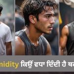 ਮੀਂਹ ਤੋਂ ਬਾਅਦ ਇੰਨੀ ਜ਼ਿਆਦਾ ਨਮੀ ਕਿਉਂ ਹੁੰਦੀ ਹੈ, ਪਸੀਨਾ ਸਰੀਰ ਨੂੰ ਕਿਵੇਂ ਨਿਚੋੜ ਦਿੰਦਾ ਹੈ? ਮੀਂਹ ਤੋਂ ਬਾਅਦ ਇੰਨੀ ਜ਼ਿਆਦਾ ਨਮੀ ਕਿਉਂ ਹੁੰਦੀ ਹੈ, ਪਸੀਨਾ ਸਰੀਰ ਨੂੰ ਕਿਵੇਂ ਨਿਚੋੜ ਦਿੰਦਾ ਹੈ?