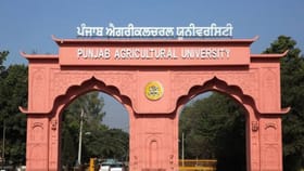 ਪਰਾਲੀ ਪ੍ਰਬੰਧਨ: PAU ਨੂੰ ਮਿਲੀ ਵੱਡੀ ਜ਼ਿੰਮੇਵਾਰੀ, ਹੁਣ ਮੱਧ ਪ੍ਰਦੇਸ਼ ਦੇ ਕਿਸਾਨਾਂ ਨੂੰ ਕਰਨਗੇ ਜਾਗਰੂਕ...