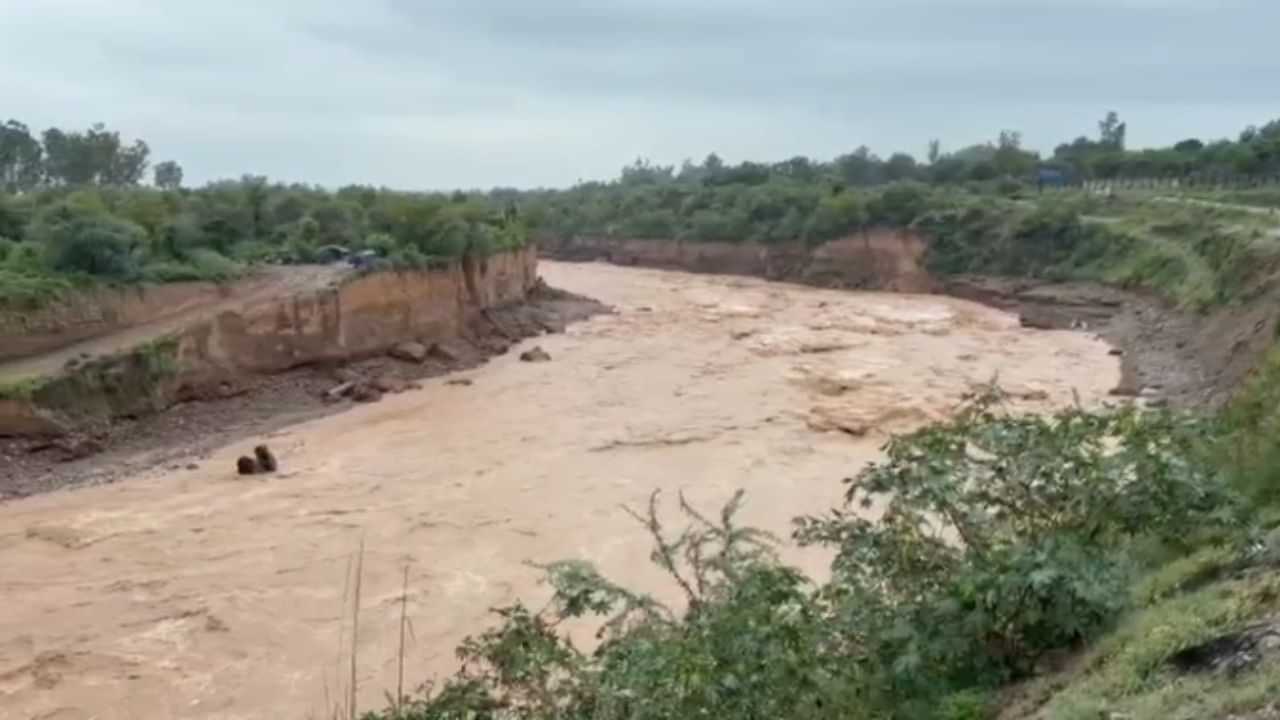 ਪਠਾਨਕੋਟ ਨੂੰ ਏਅਰਪੋਰਟ ਨਾਲ ਜੋੜਣ ਵਾਲੀ ਸੜਕ ਤਬਾਹ, ਭਾਰੀ ਮੀਂਹ ਕਾਰਨ ਕਈ ਪਿੰਡਾਂ ਦੇ ਨਾਲੋਂ ਸੰਪਰਕ ਟੁੱਟਿਆ ਪਠਾਨਕੋਟ ਨੂੰ ਏਅਰਪੋਰਟ ਨਾਲ ਜੋੜਣ ਵਾਲੀ ਸੜਕ ਤਬਾਹ, ਭਾਰੀ ਮੀਂਹ ਕਾਰਨ ਕਈ ਪਿੰਡਾਂ ਦੇ ਨਾਲੋਂ ਸੰਪਰਕ ਟੁੱਟਿਆ