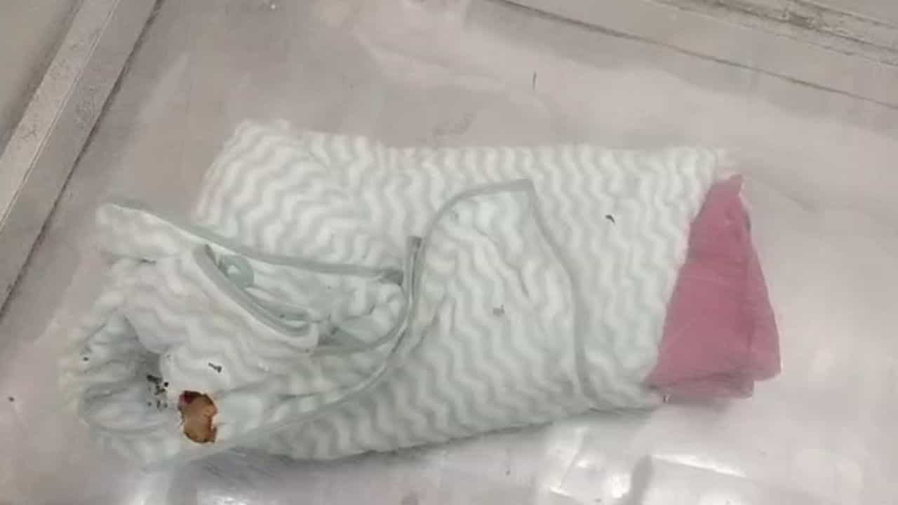 ਫਿਲੌਰ ਚ ਮਿਲਿਆ 7 ਮਹੀਨੇ ਦਾ ਭਰੂਣ, CCTV ਰਾਹੀਂ ਕੀਤੀ ਜਾ ਰਹੀ ਮੁਲਜ਼ਮ ਦੀ ਭਾਲ ਫਿਲੌਰ ਚ ਮਿਲਿਆ 7 ਮਹੀਨੇ ਦਾ ਭਰੂਣ, CCTV ਰਾਹੀਂ ਕੀਤੀ ਜਾ ਰਹੀ ਮੁਲਜ਼ਮ ਦੀ ਭਾਲ