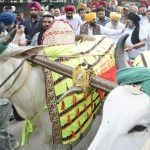 ਕਿਲਾ ਰਾਏਪੁਰ ਖੇਡਾਂ ‘ਚ ਬਲਦਾਂ ਦੀ ਦੌੜ ਨੂੰ ਹਰੀ ਝੰਡੀ! ਜਾਨਵਰਾਂ ਪ੍ਰਤੀ ਬੇਰਹਿਮੀ ਐਕਟ ‘ਚ ਸੋਧ, ਰਾਜਪਾਲ ਦੀ ਮੁਹਰ ਲੱਗਣੀ ਬਾਕੀ ਕਿਲਾ ਰਾਏਪੁਰ ਖੇਡਾਂ ‘ਚ ਬਲਦਾਂ ਦੀ ਦੌੜ ਨੂੰ ਹਰੀ ਝੰਡੀ! ਜਾਨਵਰਾਂ ਪ੍ਰਤੀ ਬੇਰਹਿਮੀ ਐਕਟ ‘ਚ ਸੋਧ, ਰਾਜਪਾਲ ਦੀ ਮੁਹਰ ਲੱਗਣੀ ਬਾਕੀ