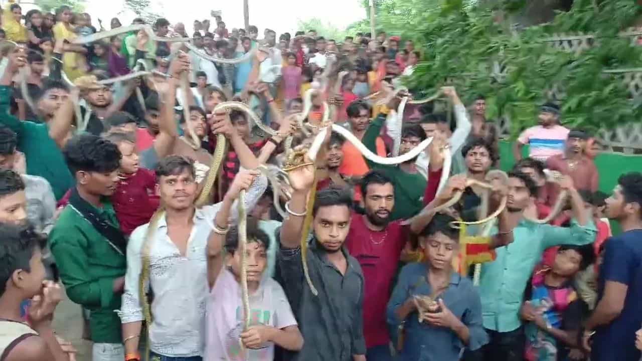 ਇੱਥੇ ਸੱਪਾਂ ਨੂੰ ਗਲੇ ਚ ਲਟਕਾਉਂਦੇ ਹੋਏ ਪਹੁੰਚਦੇ ਹਨ ਸੈਂਕੜੇ ਲੋਕ, 300 ਸਾਲ ਪੁਰਾਣੀ ਪਰੰਪਰਾ ਦਾ ਕੀ ਹੈ ਰਾਜ਼... ਧਰਮ ਤੇ ਵਿਗਿਆਨ ਦੋਵਾਂ ਚ ਮਹੱਤਵਪੂਰ