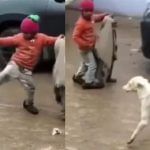 Viral Video: ਛੋਟੇ ਭਰਾ ਨੂੰ ਅਵਾਰਾ ਕੁੱਤੇ ਤੋਂ ਬਚਾਉਣ ਲਈ ਕੁੱਤੇ ਨਾਲ ਭਿੜ ਗਿਆ ਮੁੰਡਾ, ਵੀਡੀਓ ਦੇਖ ਬਣ ਜਾਵੇਗਾ ਤੁਹਾਡਾ ਦਿਨ Viral Video: ਛੋਟੇ ਭਰਾ ਨੂੰ ਅਵਾਰਾ ਕੁੱਤੇ ਤੋਂ ਬਚਾਉਣ ਲਈ ਕੁੱਤੇ ਨਾਲ ਭਿੜ ਗਿਆ ਮੁੰਡਾ, ਵੀਡੀਓ ਦੇਖ ਬਣ ਜਾਵੇਗਾ ਤੁਹਾਡਾ ਦਿਨ