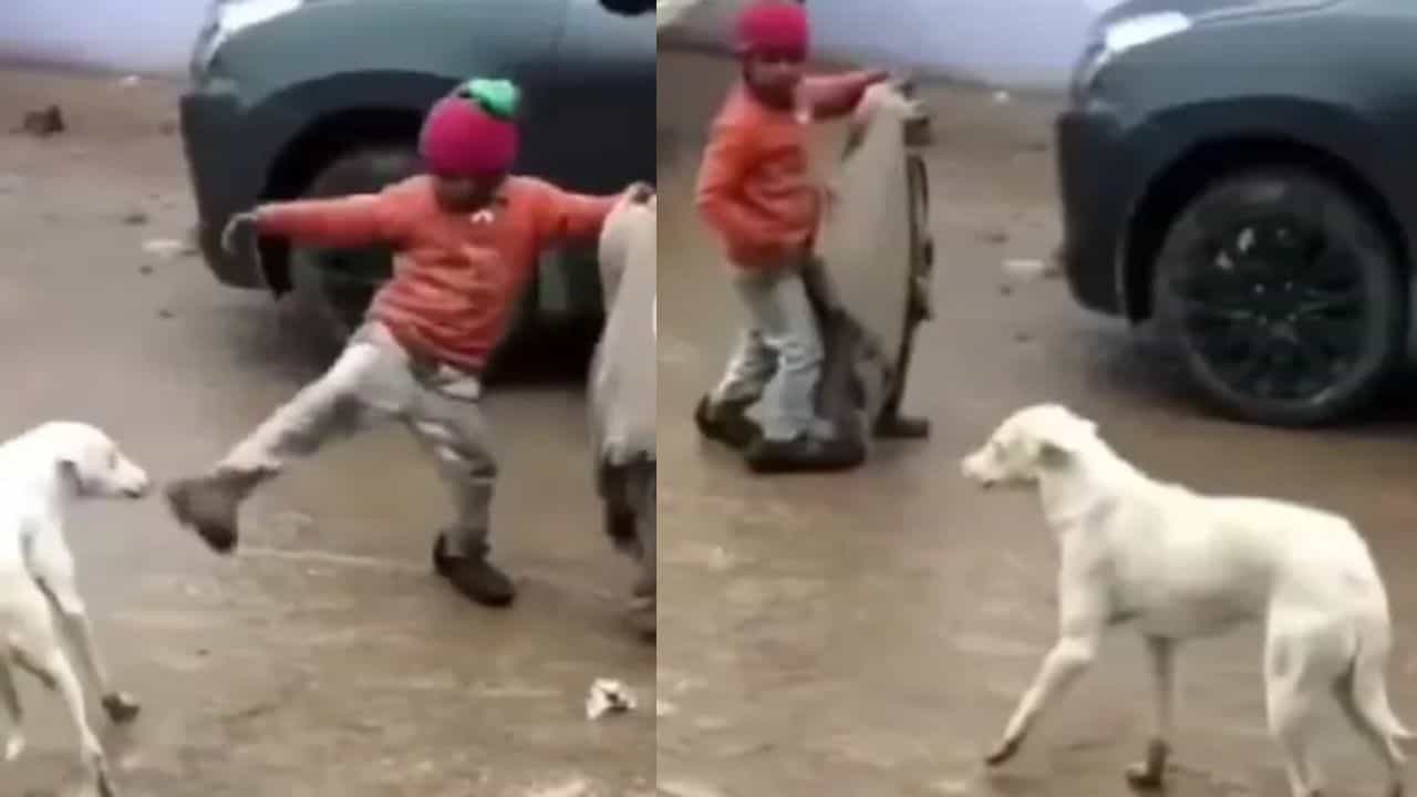 Viral Video: ਛੋਟੇ ਭਰਾ ਨੂੰ ਬਚਾਉਣ ਲਈ ਅਵਾਰਾ ਕੁੱਤੇ ਨਾਲ ਭਿੜ ਗਿਆ ਮੁੰਡਾ, ਵੀਡੀਓ ਦੇਖ ਬਣ ਜਾਵੇਗਾ ਤੁਹਾਡਾ ਦਿਨ Viral Video: ਛੋਟੇ ਭਰਾ ਨੂੰ ਬਚਾਉਣ ਲਈ ਅਵਾਰਾ ਕੁੱਤੇ ਨਾਲ ਭਿੜ ਗਿਆ ਮੁੰਡਾ, ਵੀਡੀਓ ਦੇਖ ਬਣ ਜਾਵੇਗਾ ਤੁਹਾਡਾ ਦਿਨ