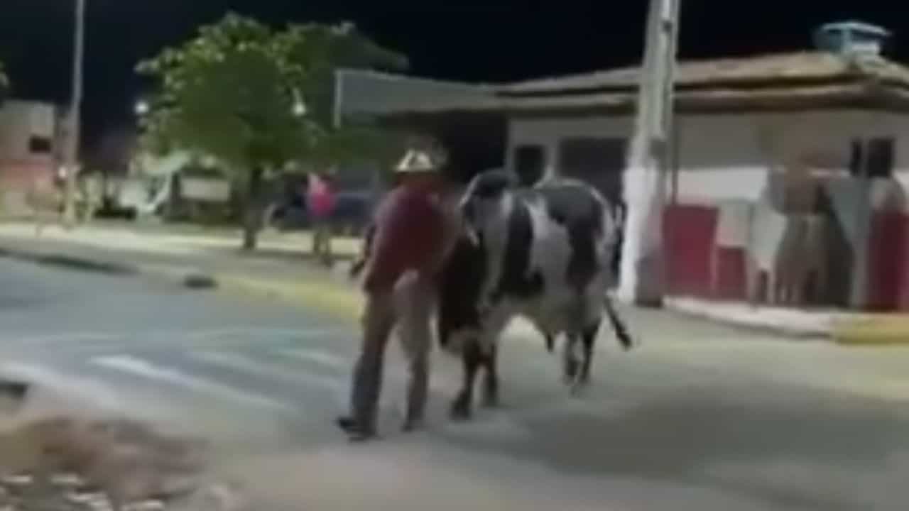 Viral Video: ਸ਼ਰਾਬ ਪੀ ਕੇ ਭੰਡ ਹੋ ਗਿਆ ਸੀ ਸ਼ਖਸ, ਤਮਾਸ਼ਾ ਦੇਖ ਕੇ ਸਾਨ੍ਹ ਧੱਕੇ ਮਾਰ ਲੈ ਕੇ ਆਇਆ ਘਰ Viral Video: ਸ਼ਰਾਬ ਪੀ ਕੇ ਭੰਡ ਹੋ ਗਿਆ ਸੀ ਸ਼ਖਸ, ਤਮਾਸ਼ਾ ਦੇਖ ਕੇ ਸਾਨ੍ਹ ਧੱਕੇ ਮਾਰ ਲੈ ਕੇ ਆਇਆ ਘਰ