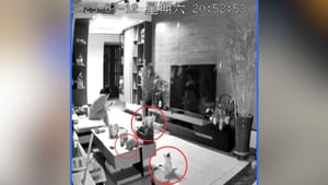 ਬਿੱਲੀਆਂ ਨੇ ਬਚਾਈ ਔਰਤ ਦੀ ਜਾਨ! CCTV ਫੁਟੇਜ 'ਚ ਕੈਦ ਹੋਇਆ Shocking Movement