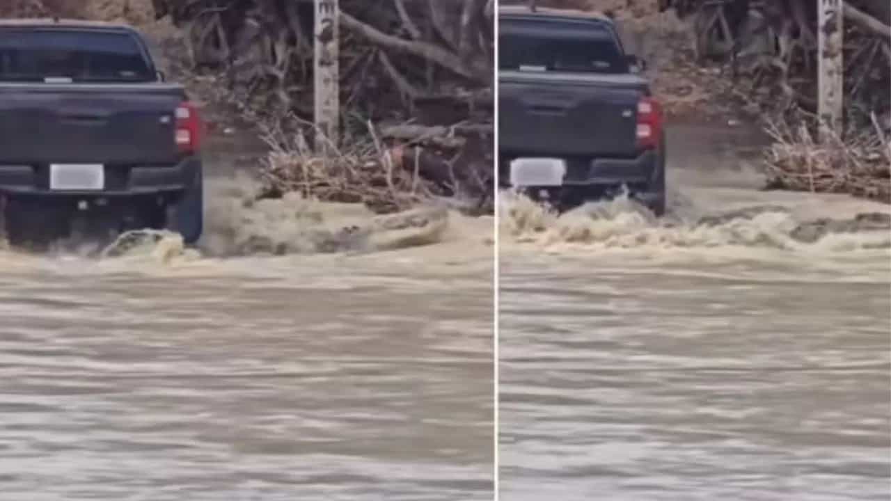 Viral Video: ਟਰੱਕ ਹੇਠ ਫਸ ਗਿਆ ਮਗਰਮੱਛ, ਫੇਰ ਡਰਾਈਵਰ ਨੇ ਕੀਤਾ ਕੁਝ ਅਜਿਹਾ ਜਾਨ ਬਚਾ ਕੇ ਭੱਜਿਆ ਸ਼ਿਕਾਰੀ Viral Video: ਟਰੱਕ ਹੇਠ ਫਸ ਗਿਆ ਮਗਰਮੱਛ, ਫੇਰ ਡਰਾਈਵਰ ਨੇ ਕੀਤਾ ਕੁਝ ਅਜਿਹਾ ਜਾਨ ਬਚਾ ਕੇ ਭੱਜਿਆ ਸ਼ਿਕਾਰੀ