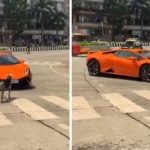 Funny Video: ਲੈਂਬੋਰਗਿਨੀ ਨਾਲ ਭਿੜ ਗਿਆ Doggy…ਬਹੁਤ ਮੁਸ਼ਕਲਾਂ ਨਾਲ ਕਾਰ ਸਵਾਰ ਨੇ ਕੀਤਾ ਰੋੜ ਪਾਰ Funny Video: ਲੈਂਬੋਰਗਿਨੀ ਨਾਲ ਭਿੜ ਗਿਆ Doggy…ਬਹੁਤ ਮੁਸ਼ਕਲਾਂ ਨਾਲ ਕਾਰ ਸਵਾਰ ਨੇ ਕੀਤਾ ਰੋੜ ਪਾਰ