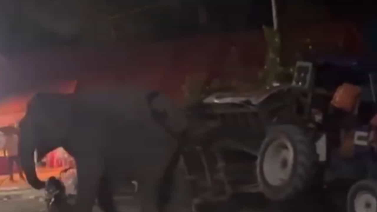 OMG: DJ ਅਤੇ ਭੀੜ ਦੇ ਸ਼ੋਰ ਤੋਂ ਤੰਗ ਆ ਕੇ ਦੌੜੀ ਮਾਦਾ ਹਾਥੀ, ਕੀਤਾ ਹੰਗਾਮਾ ਕੰਬ ਗਏ ਲੋਕ, ਬੋਲੇ - ਜਾਨਵਰ ਨਾਲ ਪੰਗਾ ਨਹੀਂ! OMG: DJ ਅਤੇ ਭੀੜ ਦੇ ਸ਼ੋਰ ਤੋਂ ਤੰਗ ਆ ਕੇ ਦੌੜੀ ਮਾਦਾ ਹਾਥੀ, ਕੀਤਾ ਹੰਗਾਮਾ ਕੰਬ ਗਏ ਲੋਕ, ਬੋਲੇ - ਜਾਨਵਰ ਨਾਲ ਪੰਗਾ ਨਹੀਂ!