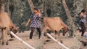 ਗਾਂ ਦੇ ਸਾਹਮਣੇ ਰੀਲ ਬਣਾ ਰਹੀ ਸੀ ਕੁੜੀ, ਪਰ...Change ਹੋ ਗਿਆ Scene