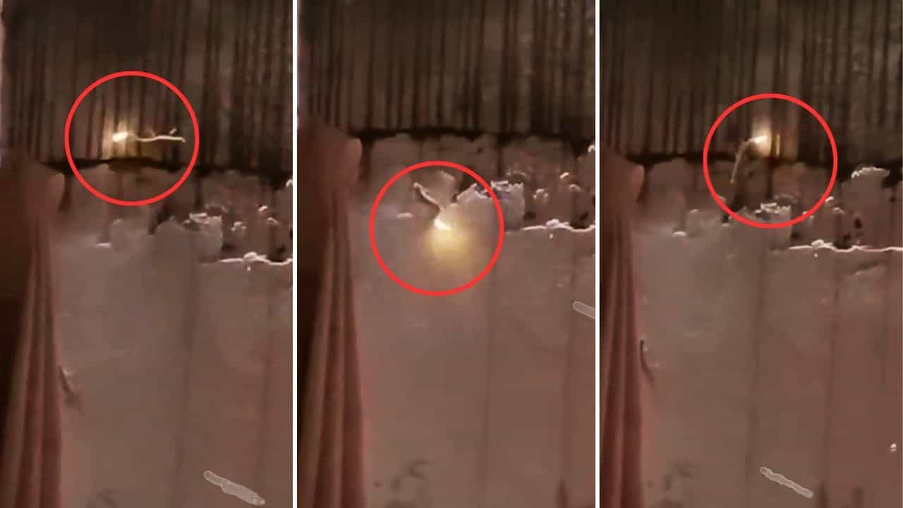 Viral Video: ਪੂਛ ਤੋਂ ਅੱਗ ਉਗਲਦੀ ਹੈ Lizard, ਅੱਖੀ ਵੇਖ ਕੇ ਵੀ ਲੋਕਾਂ ਨੂੰ ਨਹੀਂ ਹੋਇਆ ਭਰੋਸਾ