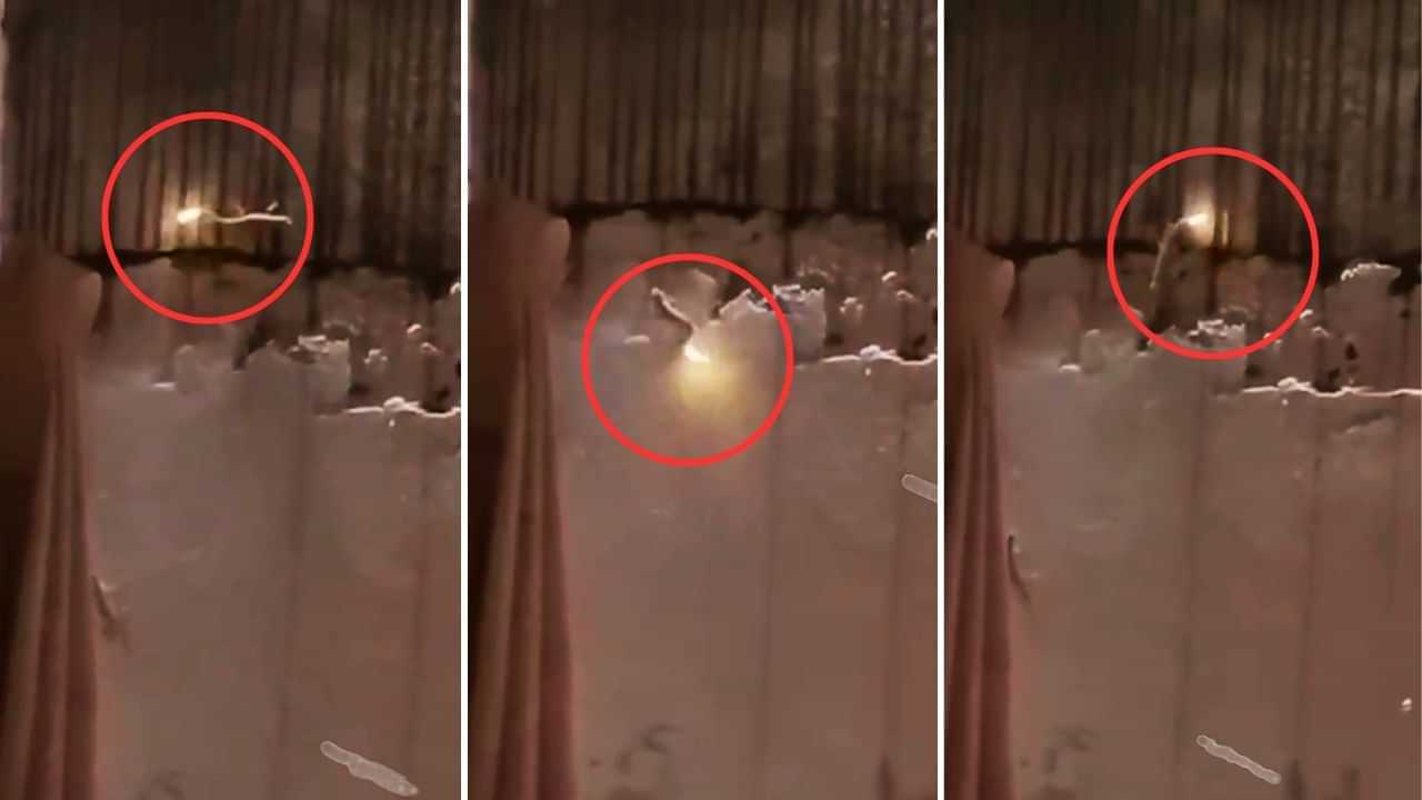 Viral Video: ਪੂਛ ਤੋਂ ਅੱਗ ਉਗਲਦੀ ਹੈ Lizard, ਅੱਖੀ ਵੇਖ ਕੇ ਵੀ ਲੋਕਾਂ ਨੂੰ ਨਹੀਂ ਹੋਇਆ ਭਰੋਸਾ