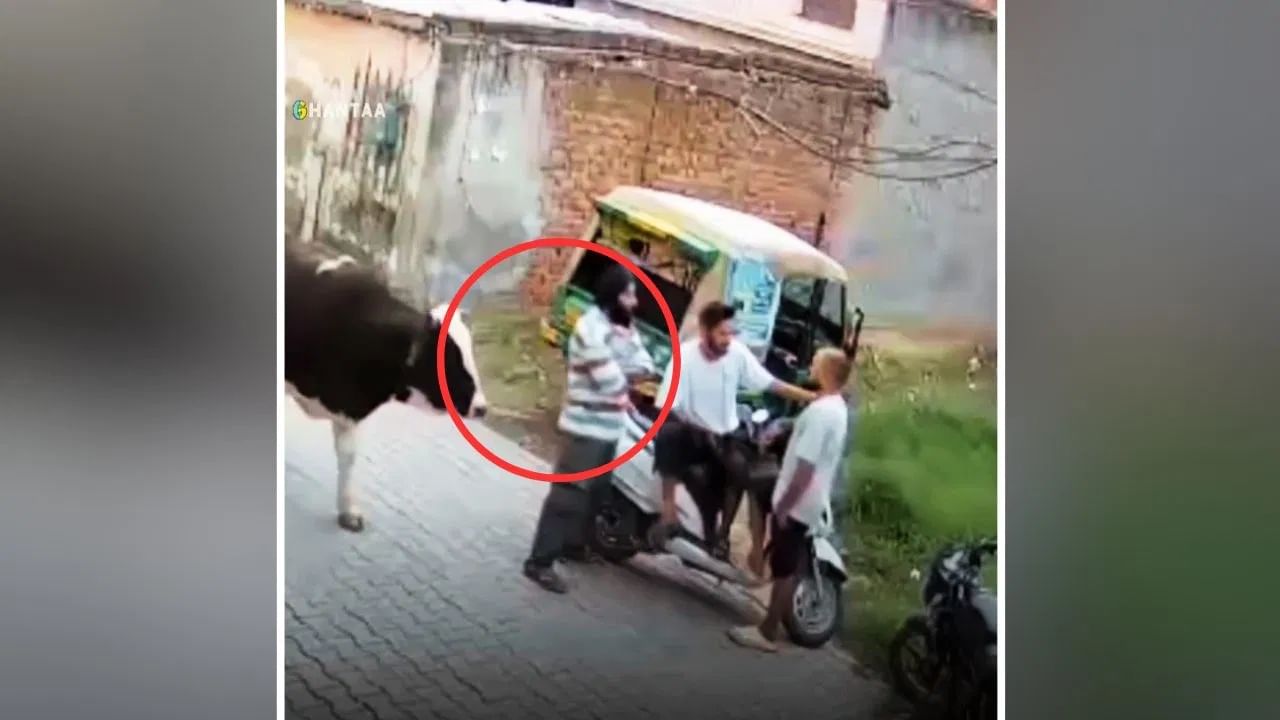 Viral Video: ਸਾਨ੍ਹ ਦੀ ‘ਦਰਿਆਦਿਲੀ’ ਤਾਂ ਵੇਖੋ ਜਰਾ, ਲੋਕ ਬੋਲੇ- ਅਜਿਹਾ ਕਦੇ ਨਹੀਂ ਦੇਖਿਆ! Viral Video: ਸਾਨ੍ਹ ਦੀ ‘ਦਰਿਆਦਿਲੀ’ ਤਾਂ ਵੇਖੋ ਜਰਾ, ਲੋਕ ਬੋਲੇ- ਅਜਿਹਾ ਕਦੇ ਨਹੀਂ ਦੇਖਿਆ!