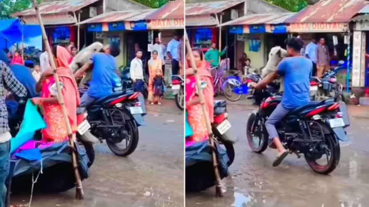 OMG: ਲੰਗੂਰ ਨੂੰ ਬਾਈਕ ਤੇ ਬਿਠਾ ਕੇ ਕਰ ਰਿਹਾ ਸੀ Showoff, ਜਾਨਵਰ ਨੇ ਇੰਝ ਕੱਢੀ ਹਵਾਬਾਜ਼ੀ OMG: ਲੰਗੂਰ ਨੂੰ ਬਾਈਕ ਤੇ ਬਿਠਾ ਕੇ ਕਰ ਰਿਹਾ ਸੀ Showoff, ਜਾਨਵਰ ਨੇ ਇੰਝ ਕੱਢੀ ਹਵਾਬਾਜ਼ੀ