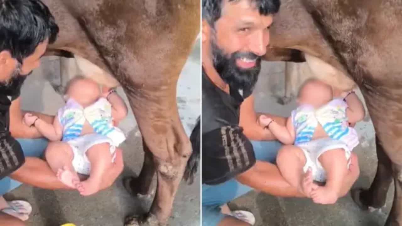 ਸ਼ਖਸ ਨੇ ਬੱਚੇ ਨੂੰ ਗਾਂ ਦੇ ਥਣ ਤੋਂ ਪਿਲਾਇਆ ਦੁੱਧ, ਵੀਡੀਓ ਦੇਖਣ ਤੋਂ ਬਾਅਦ ਲੋਕ ਬੋਲੇ - ਵਿਊਜ਼ ਲਈ ਨਾ ਕਰੋ ਅਜਿਹਾ