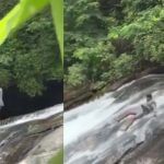 Viral Video: ਝਰਨੇ ‘ਤੇ ਪ੍ਰਪੋਜ਼ ਕਰਨਾ ਮੁੰਡੇ ਨੂੰ ਪਿਆ ਭਾਰੀ, ਸੁਪਨਾ ਪੂਰਾ ਕਰਨ ਦੀ ਕੋਸ਼ਿਸ਼ ‘ਚ ਵਾਪਰਿਆ ਹਾਦਸਾ Viral Video: ਝਰਨੇ ‘ਤੇ ਪ੍ਰਪੋਜ਼ ਕਰਨਾ ਮੁੰਡੇ ਨੂੰ ਪਿਆ ਭਾਰੀ, ਸੁਪਨਾ ਪੂਰਾ ਕਰਨ ਦੀ ਕੋਸ਼ਿਸ਼ ‘ਚ ਵਾਪਰਿਆ ਹਾਦਸਾ