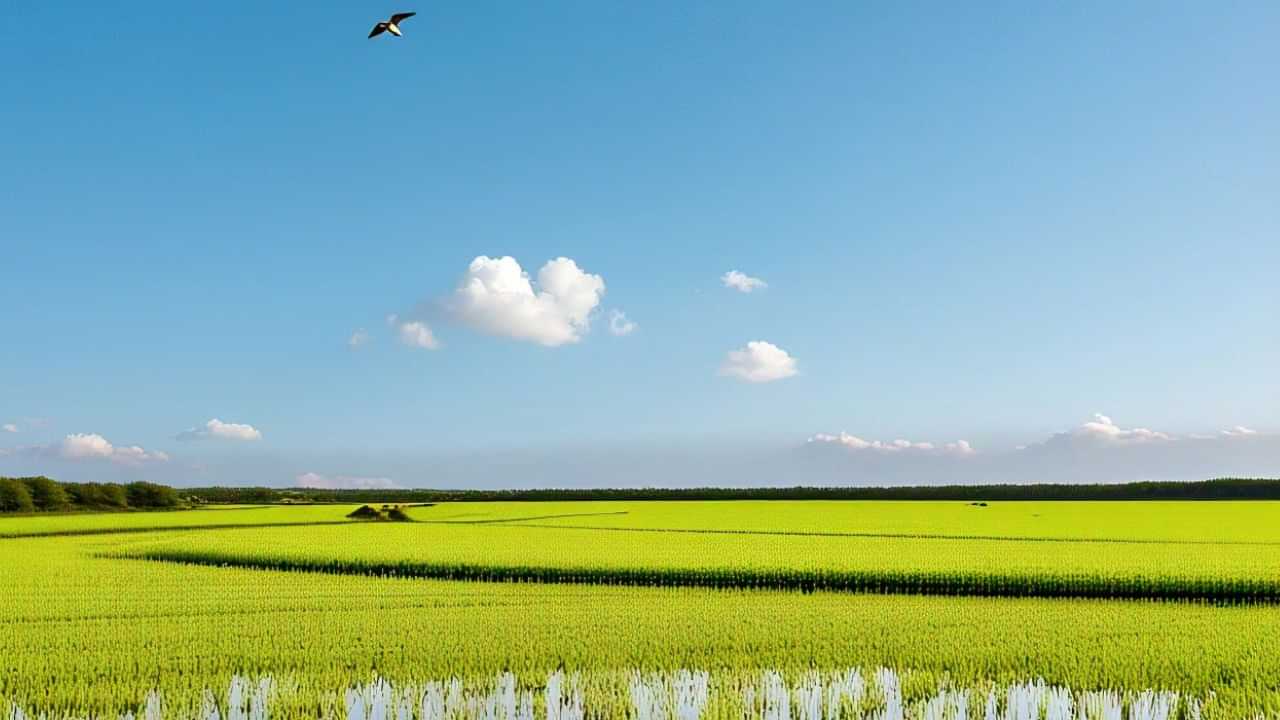 ਪੰਜਾਬ ਦੇ ਤਾਪਮਾਨ ਵਿੱਚ ਕੋਈ ਬਦਲਾਅ ਨਹੀਂ: ਹਵਾਵਾਂ ਨੇ ਬਦਲਿਆ ਰੁਖ, ਪ੍ਰਦੂਸ਼ਣ ਦੇ ਪੱਧਰ ਚ ਆਈ ਕਮੀ ਪੰਜਾਬ ਦੇ ਤਾਪਮਾਨ ਵਿੱਚ ਕੋਈ ਬਦਲਾਅ ਨਹੀਂ: ਹਵਾਵਾਂ ਨੇ ਬਦਲਿਆ ਰੁਖ, ਪ੍ਰਦੂਸ਼ਣ ਦੇ ਪੱਧਰ ਚ ਆਈ ਕਮੀ