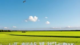 ਪੰਜਾਬ ਦੇ ਤਾਪਮਾਨ ਵਿੱਚ ਕੋਈ ਬਦਲਾਅ ਨਹੀਂ: ਹਵਾਵਾਂ ਨੇ ਬਦਲਿਆ ਰੁਖ, ਪ੍ਰਦੂਸ਼ਣ ਦੇ ਪੱਧਰ ‘ਚ ਆਈ ਕਮੀ...