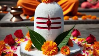 Shivling Flowers: ਸ਼ਿਵਲਿੰਗ ‘ਤੇ ਕਿਹੜਾ ਫੁੱਲ ਚੜ੍ਹਾਉਣ ਨਾਲ ਕੀ ਲਾਭ ਹੁੰਦਾ ਹੈ?