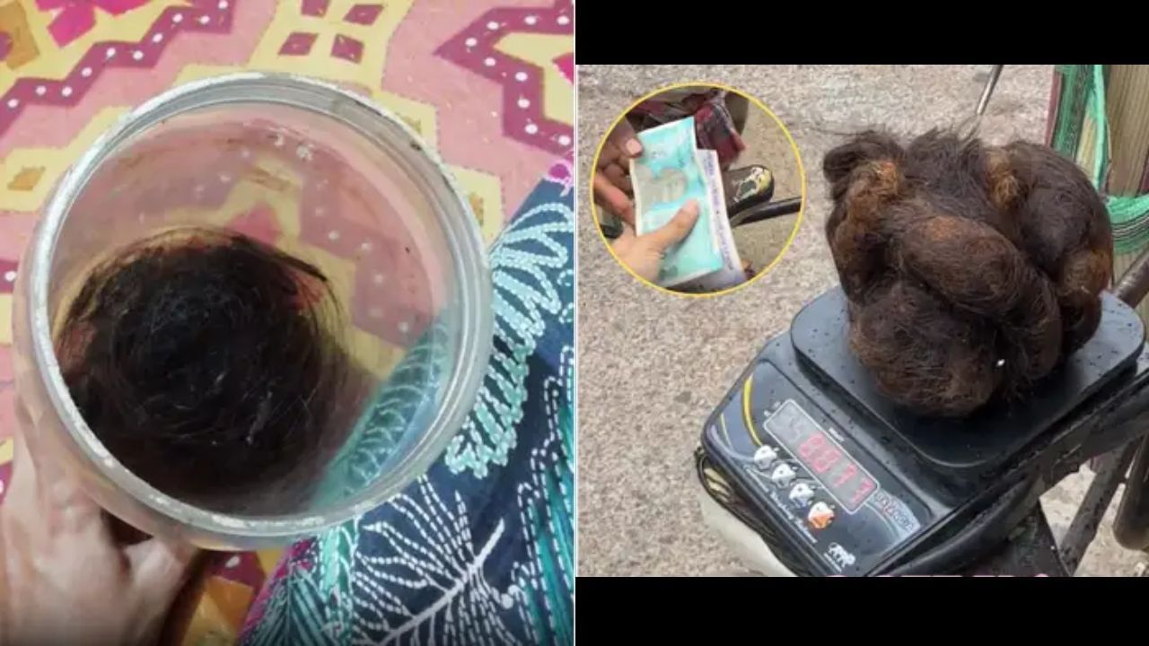 Viral Video: ਕੁੜੀ ਨੇ ਝੜਦੇ ਵਾਲਾਂ ਨੂੰ ਇਕੱਠੇ ਕਰਕੇ ਦੋ ਸਾਲਾਂ ਵਿੱਚ ਕਮਾਏ ਇੰਨੇ ਪੈਸੇ, ਦੇਖ ਕੇ ਦੰਗ ਰਹਿ ਜਾਓਗੇ