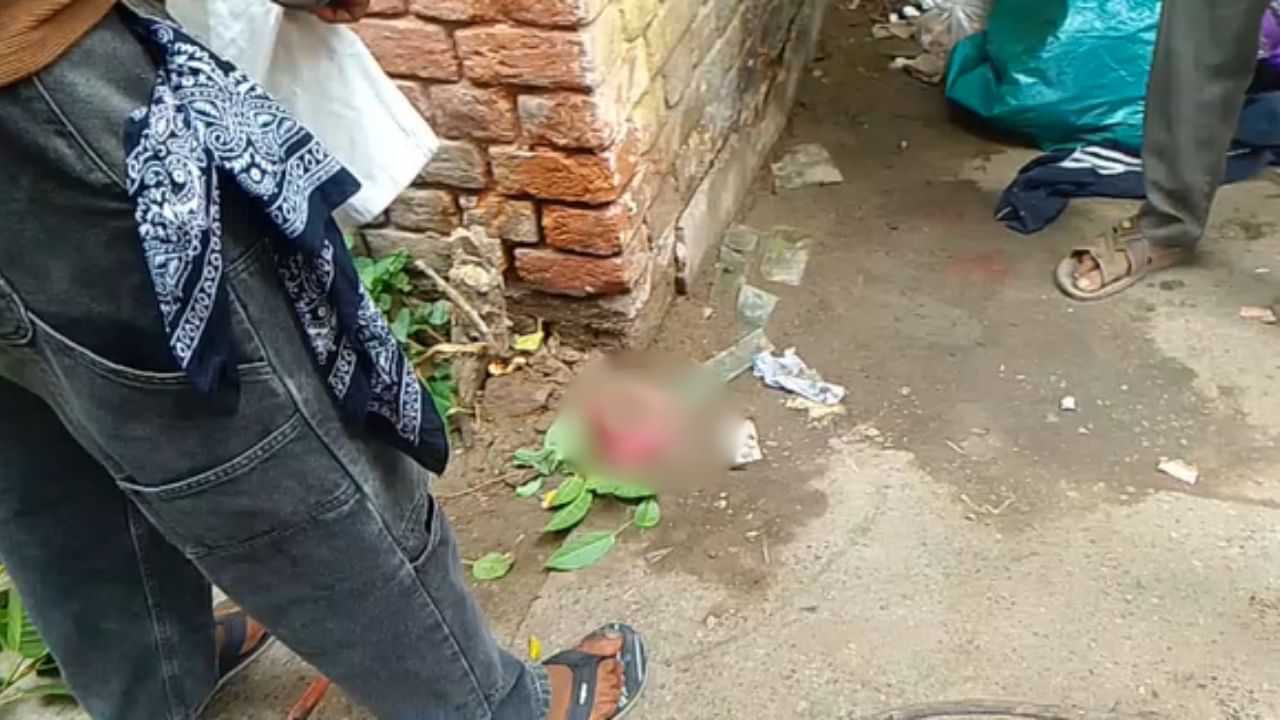 ਕਪੂਰਥਲਾ ਦੇ ਬੱਸ ਸਟੈਂਡ ਪਰਿਸਰ ਚੋਂ ਮਿਲਿਆ ਮਨੁੱਖੀ ਭਰੂਣ, ਸੁੱਟਣ ਵਾਲਿਆਂ ਦੀ ਭਾਲ ਜਾਰੀ ਕਪੂਰਥਲਾ ਦੇ ਬੱਸ ਸਟੈਂਡ ਪਰਿਸਰ ਚੋਂ ਮਿਲਿਆ ਮਨੁੱਖੀ ਭਰੂਣ, ਸੁੱਟਣ ਵਾਲਿਆਂ ਦੀ ਭਾਲ ਜਾਰੀ