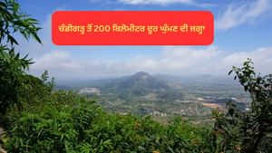 ਚੰਡੀਗੜ੍ਹ ਨੇੜੇ ਇਹ ਜਗ੍ਹਾ ਸਵਰਗ ਤੋਂ ਘੱਟ ਨਹੀਂ, ਲੌਂਗ ਵੀਕਐਂਡ 'ਤੇ ਜ਼ਰੂਰ ਜਾਓ