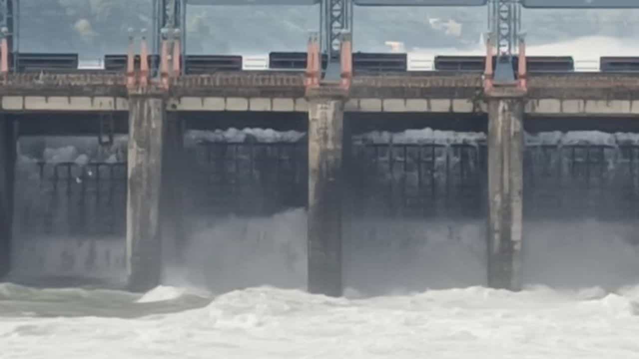 ਪੰਜਾਬ ਵਿੱਚ ਫਿਰ ਵਧਿਆ ਹੜ੍ਹ ਦਾ ਖ਼ਤਰਾ, ਪਾਣੀ ਰੋਕਣ ਲਈ ਰਣਜੀਤ ਸਾਗਰ, ਪੋਂਗ ਤੇ ਭਾਖੜਾ ਡੈਮਾਂ ਨੂੰ ਕੀਤਾ ਜਾ ਰਿਹਾ ਖਾਲੀ