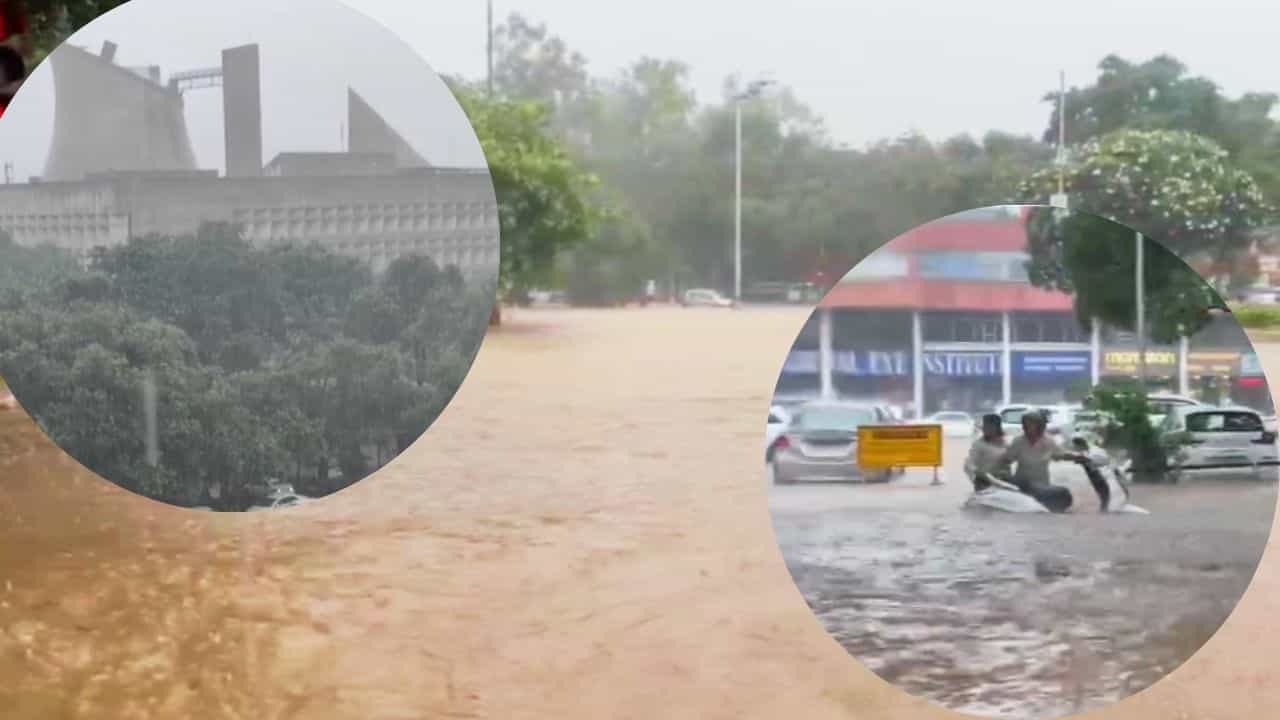 ਚੰਡੀਗੜ੍ਹ ਸਮੇਤ ਪੰਜਾਬ ਦੇ ਕਈ ਸ਼ਹਿਰਾਂ ਚ ਭਾਰੀ ਮੀਂਹ, ਕਈ ਇਲਾਕਿਆਂ ਚ ਭਰਿਆ ਪਾਣੀ ਚੰਡੀਗੜ੍ਹ ਸਮੇਤ ਪੰਜਾਬ ਦੇ ਕਈ ਸ਼ਹਿਰਾਂ ਚ ਭਾਰੀ ਮੀਂਹ, ਕਈ ਇਲਾਕਿਆਂ ਚ ਭਰਿਆ ਪਾਣੀ