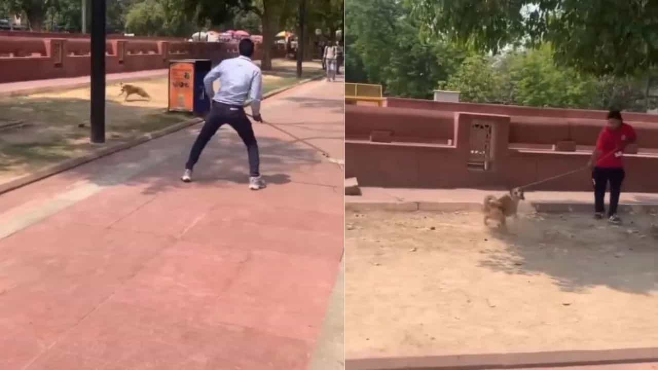 ਕੀ ਸੱਚਮੁੱਚ ਦਿੱਲੀ ਵਿੱਚ ਕੁੱਤਿਆਂ ਦੀ ਭਾਲ ਸ਼ੁਰੂ ? ਦੇਖੋ ਕਿਵੇਂ ਦਬੋਚ ਰਹੇ- VIDEO ਕੀ ਸੱਚਮੁੱਚ ਦਿੱਲੀ ਵਿੱਚ ਕੁੱਤਿਆਂ ਦੀ ਭਾਲ ਸ਼ੁਰੂ ? ਦੇਖੋ ਕਿਵੇਂ ਦਬੋਚ ਰਹੇ- VIDEO