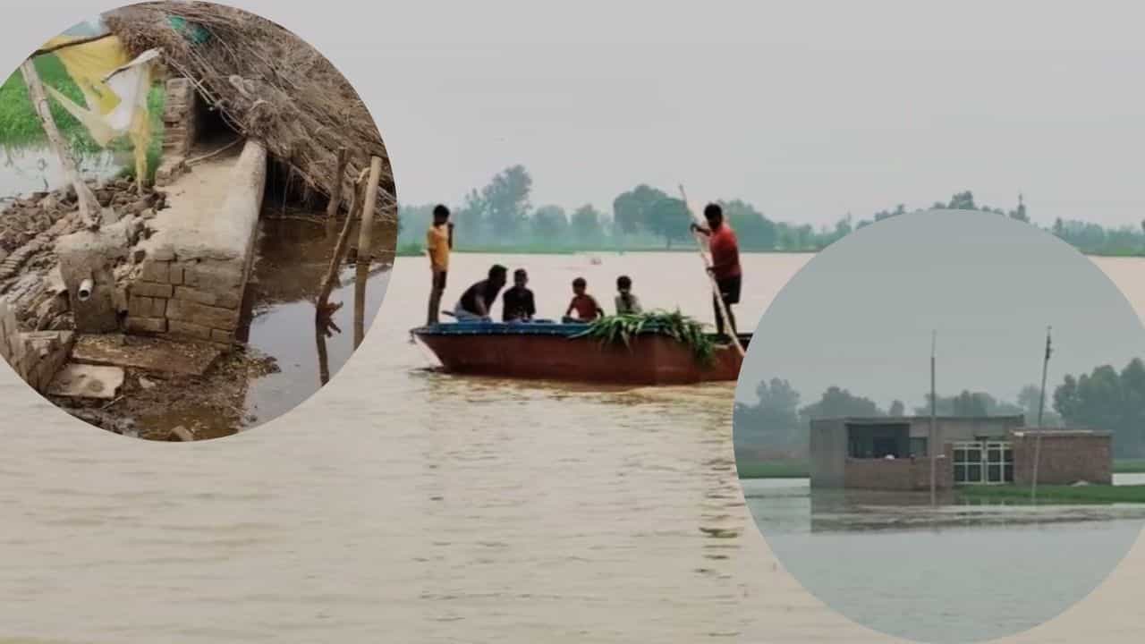 ਫਾਜ਼ਿਲਕਾ ਚ ਸਤਲੁਜ ਦੇ ਪਾਣੀ ਕਾਰਨ ਸੈਂਕੇੜੇ ਏਕੜ ਫਸਲ ਪ੍ਰਭਾਵਿਤ, ਕਿਸ਼ਤੀਆਂ ਰਾਹੀਂ ਸ਼ਿਫਟ ਹੋ ਰਹੇ ਲੋਕ ਫਾਜ਼ਿਲਕਾ ਚ ਸਤਲੁਜ ਦੇ ਪਾਣੀ ਕਾਰਨ ਸੈਂਕੇੜੇ ਏਕੜ ਫਸਲ ਪ੍ਰਭਾਵਿਤ, ਕਿਸ਼ਤੀਆਂ ਰਾਹੀਂ ਸ਼ਿਫਟ ਹੋ ਰਹੇ ਲੋਕ