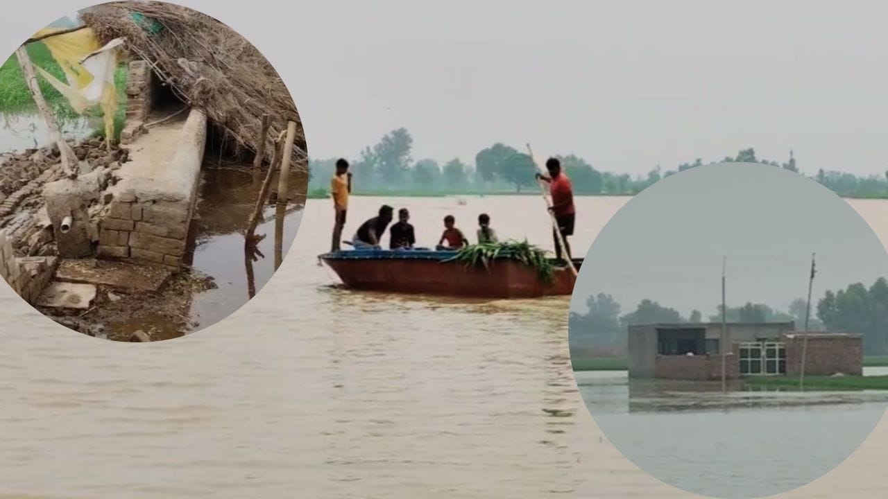 ਫਾਜ਼ਿਲਕਾ 'ਚ ਸਤਲੁਜ ਦੇ ਪਾਣੀ ਕਾਰਨ ਸੈਂਕੇੜੇ ਏਕੜ ਫਸਲ ਪ੍ਰਭਾਵਿਤ, ਕਿਸ਼ਤੀਆਂ ਰਾਹੀਂ ਸ਼ਿਫਟ ਹੋ ਰਹੇ ਲੋਕ