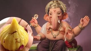 ਬੱਪਾ ਨੂੰ ਚੜ੍ਹਾਉਣ ਲਈ ਬਣਾਓ ਮਖਾਨਾ ਮੋਦਕ, ਜਾਣੋ ਆਸਾਨ ਨੁਸਖਾ