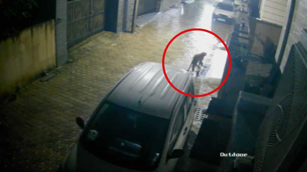 Viral Video: ਨੰਗਲ ਚ ਤੇਂਦੂਏ ਦੀ ਹਰਕਤ CCTV ਚ ਕੈਦ, ਦਹਿਸ਼ਤ ਚ ਲੋਕ Viral Video: ਨੰਗਲ ਚ ਤੇਂਦੂਏ ਦੀ ਹਰਕਤ CCTV ਚ ਕੈਦ, ਦਹਿਸ਼ਤ ਚ ਲੋਕ