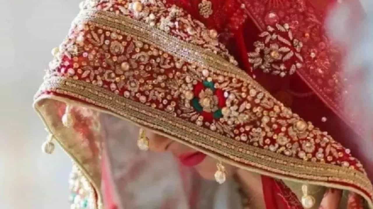 ਉਮਰ ਲੰਘ ਰਹੀ ਹੈ, ਨਹੀਂ ਮਿਲ ਰਹੀ ਲਾੜੀ, 30 ਨੌਜਵਾਨਾਂ ਨੇ ਲਿਖਿਆ ਪਿੰਡ ਦੇ ਸਰਪੰਚ ਨੂੰ ਪੱਤਰ