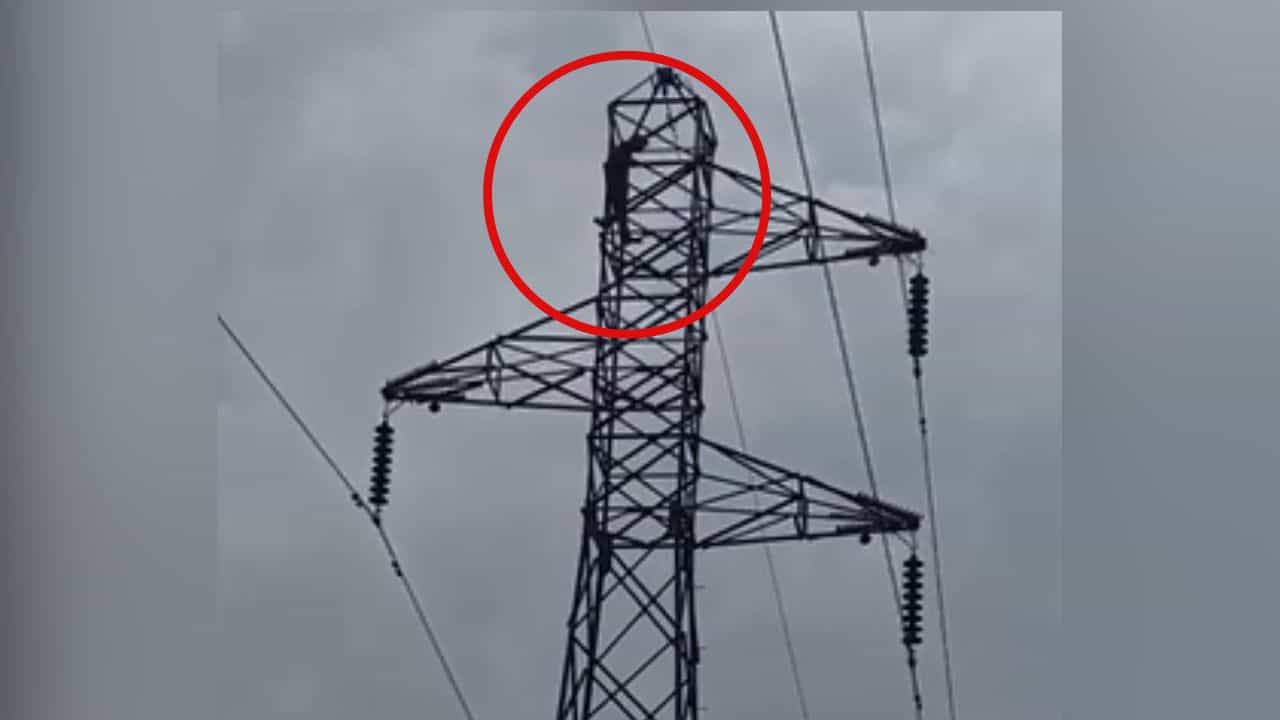 ਮੋਗਾ ਚ ਭਰਾ ਦੇ ਇਨਸਾਫ਼ ਲਈ ਖੰਭੇ ਤੇ ਚੜ੍ਹਿਆ ਨੌਜਵਾਨ, ਪੁਲਿਸ ਤੇ ਲੱਗੇ ਨਾਜਾਇਜ਼ ਹਿਰਾਸਤ ਚ ਰੱਖਣ ਦੇ ਇਲਜ਼ਾਮ ਮੋਗਾ ਚ ਭਰਾ ਦੇ ਇਨਸਾਫ਼ ਲਈ ਖੰਭੇ ਤੇ ਚੜ੍ਹਿਆ ਨੌਜਵਾਨ, ਪੁਲਿਸ ਤੇ ਲੱਗੇ ਨਾਜਾਇਜ਼ ਹਿਰਾਸਤ ਚ ਰੱਖਣ ਦੇ ਇਲਜ਼ਾਮ