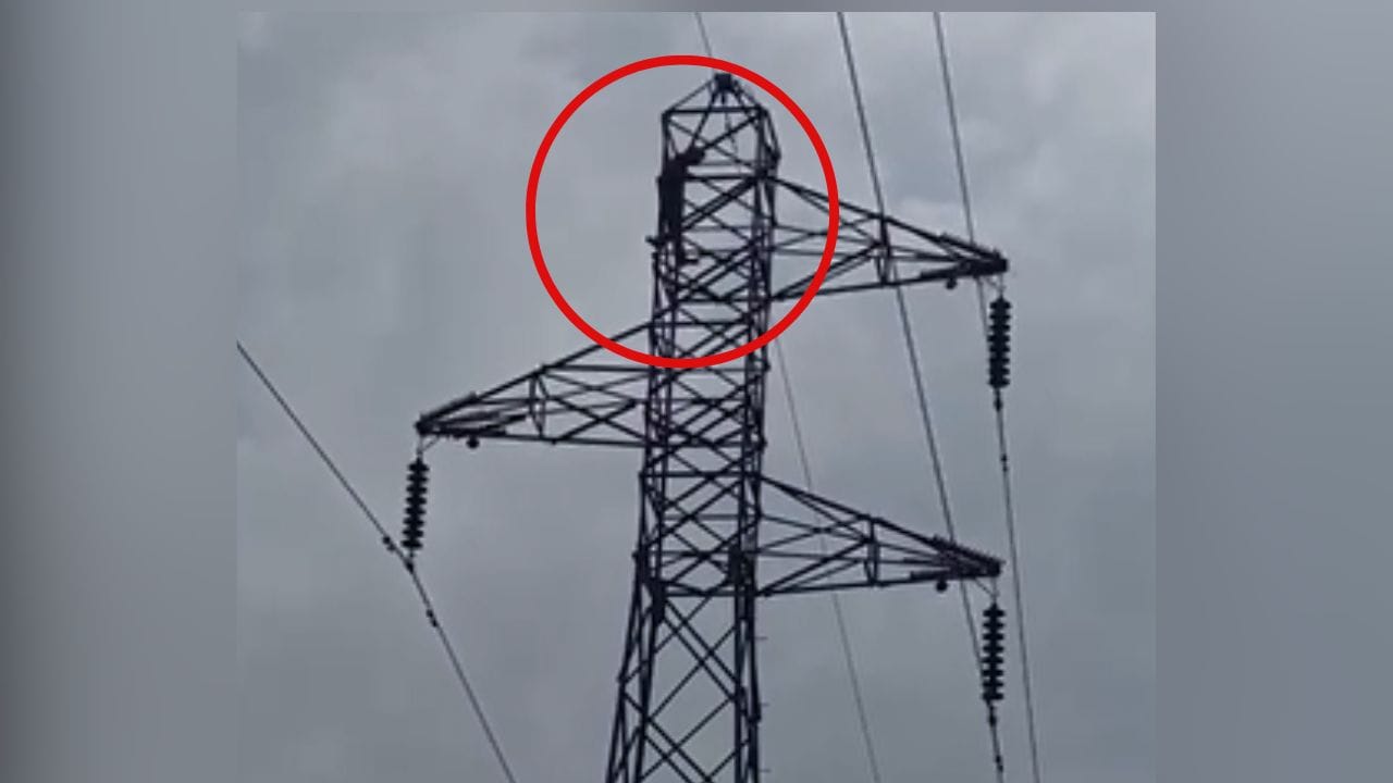 ਮੋਗਾ 'ਚ ਭਰਾ ਦੇ ਇਨਸਾਫ਼ ਲਈ ਖੰਭੇ 'ਤੇ ਚੜ੍ਹਿਆ ਨੌਜਵਾਨ, ਪੁਲਿਸ 'ਤੇ ਲੱਗੇ ਨਾਜਾਇਜ਼ ਹਿਰਾਸਤ 'ਚ ਰੱਖਣ ਦੇ ਇਲਜ਼ਾਮ