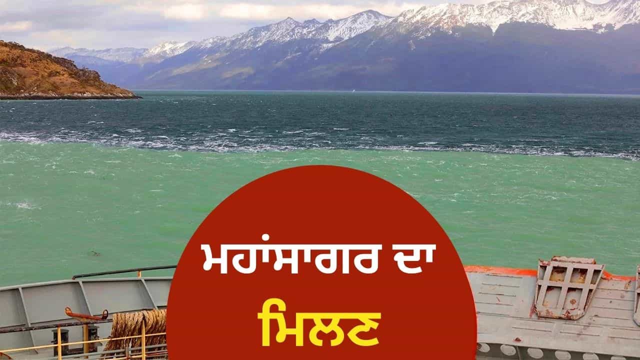 ਕੀ ਪ੍ਰਸ਼ਾਂਤ ਅਤੇ ਅਟਲਾਂਟਿਕ ਮਹਾਸਾਗਰ ਮਿਲਕੇ ਵੀ ਨਹੀਂ ਮਿਲਦੇ? ਐਕਸਪਰਟ ਤੋਂ ਜਾਣੋ ਪੂਰੀ ਸੱਚਾਈ ਕੀ ਪ੍ਰਸ਼ਾਂਤ ਅਤੇ ਅਟਲਾਂਟਿਕ ਮਹਾਸਾਗਰ ਮਿਲਕੇ ਵੀ ਨਹੀਂ ਮਿਲਦੇ? ਐਕਸਪਰਟ ਤੋਂ ਜਾਣੋ ਪੂਰੀ ਸੱਚਾਈ