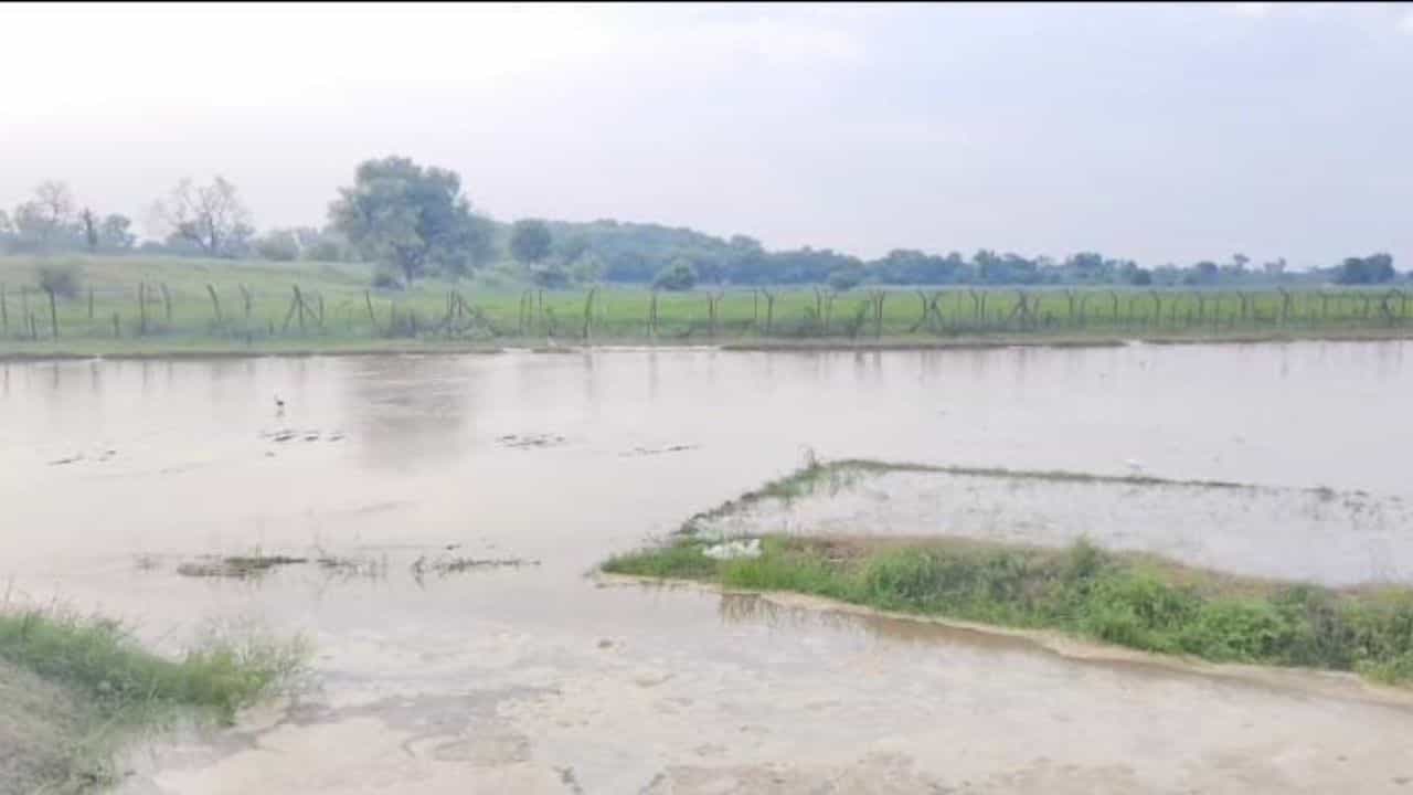 BSF ਪੋਸਟ ਨੇੜੇ ਪਹੁੰਚਿਆ ਪਾਣੀ, ਸਤਲੁਜ ਕਾਰਨ ਫਿਰੋਜਪੁਰ ਦੇ ਕਈ ਪਿੰਡ ਪ੍ਰਭਾਵਿਤ