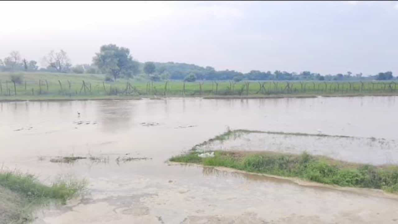 BSF ਪੋਸਟ ਨੇੜੇ ਪਹੁੰਚਿਆ ਪਾਣੀ, ਸਤਲੁਜ ਕਾਰਨ ਫਿਰੋਜਪੁਰ ਦੇ ਕਈ ਪਿੰਡ ਪ੍ਰਭਾਵਿਤ BSF ਪੋਸਟ ਨੇੜੇ ਪਹੁੰਚਿਆ ਪਾਣੀ, ਸਤਲੁਜ ਕਾਰਨ ਫਿਰੋਜਪੁਰ ਦੇ ਕਈ ਪਿੰਡ ਪ੍ਰਭਾਵਿਤ