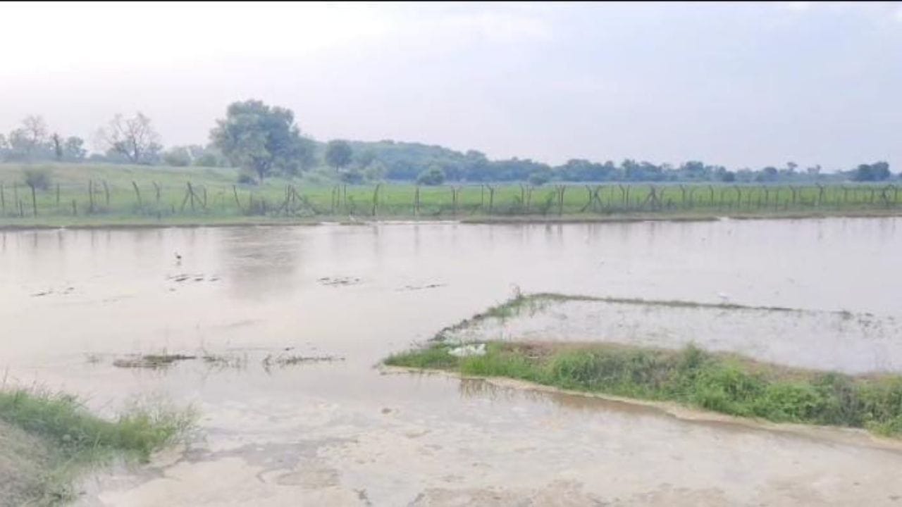 BSF ਪੋਸਟ ਨੇੜੇ ਪਹੁੰਚਿਆ ਪਾਣੀ, ਸਤਲੁਜ ਕਾਰਨ ਫਿਰੋਜਪੁਰ ਦੇ ਕਈ ਪਿੰਡ ਪ੍ਰਭਾਵਿਤ