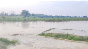 BSF ਪੋਸਟ ਨੇੜੇ ਪਹੁੰਚਿਆ ਪਾਣੀ, ਸਤਲੁਜ ਦੇ ਵਧੇ ਪੱਧਰ ਕਾਰਨ ਕਈ ਪਿੰਡ ਪ੍ਰਭਾਵਿਤ