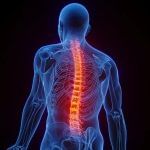 Supplements Damage Bone:ਸਪਲੀਮੈਂਟਸ ਦੇ ਜ਼ਿਆਦਾ ਸੇਵਨ ਕਾਰਨ ਮਲਟੀ-ਆਰਗਨ ਫੇਲ੍ਹ ਦਾ ਖਤਰਾ, ਜਾਣੋ ਮਾਹਿਰ ਡਾਕਟਰਾਂ ਤੋਂ ਇਸ ਦੇ ਵੱਡੇ ਨੁਕਸਾਨ Supplements Damage Bone:ਸਪਲੀਮੈਂਟਸ ਦੇ ਜ਼ਿਆਦਾ ਸੇਵਨ ਕਾਰਨ ਮਲਟੀ-ਆਰਗਨ ਫੇਲ੍ਹ ਦਾ ਖਤਰਾ, ਜਾਣੋ ਮਾਹਿਰ ਡਾਕਟਰਾਂ ਤੋਂ ਇਸ ਦੇ ਵੱਡੇ ਨੁਕਸਾਨ