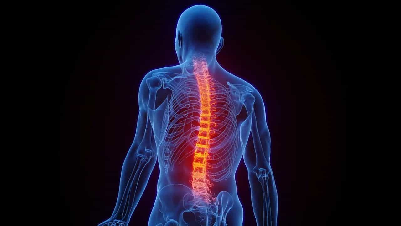 Supplements Damage Bone:ਸਪਲੀਮੈਂਟਸ ਦੇ ਜ਼ਿਆਦਾ ਸੇਵਨ ਕਾਰਨ ਮਲਟੀ-ਆਰਗਨ ਫੇਲ੍ਹ ਦਾ ਖਤਰਾ, ਜਾਣੋ ਮਾਹਿਰ ਡਾਕਟਰਾਂ ਤੋਂ ਇਸ ਦੇ ਵੱਡੇ ਨੁਕਸਾਨ