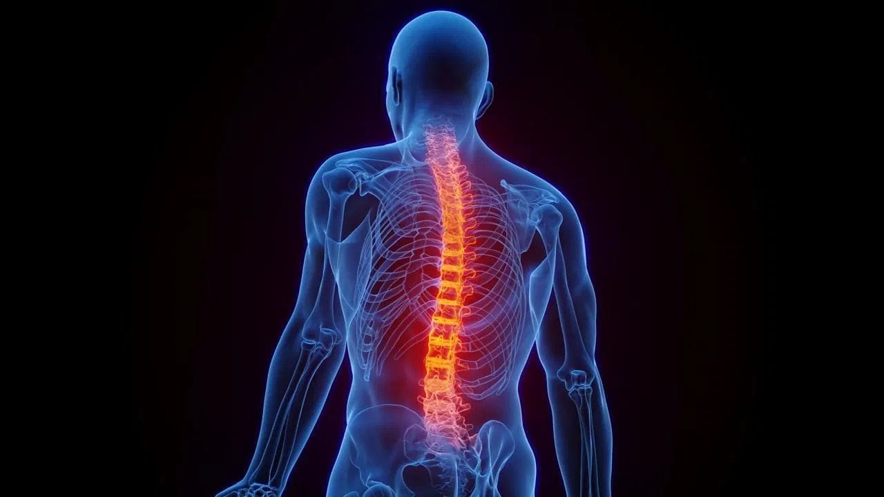 Supplements Damage Bone:ਸਪਲੀਮੈਂਟਸ ਦੇ ਜ਼ਿਆਦਾ ਸੇਵਨ ਕਾਰਨ ਮਲਟੀ-ਆਰਗਨ ਫੇਲ੍ਹ ਦਾ ਖਤਰਾ, ਜਾਣੋ ਮਾਹਿਰ ਡਾਕਟਰਾਂ ਤੋਂ ਇਸ ਦੇ ਵੱਡੇ ਨੁਕਸਾਨ