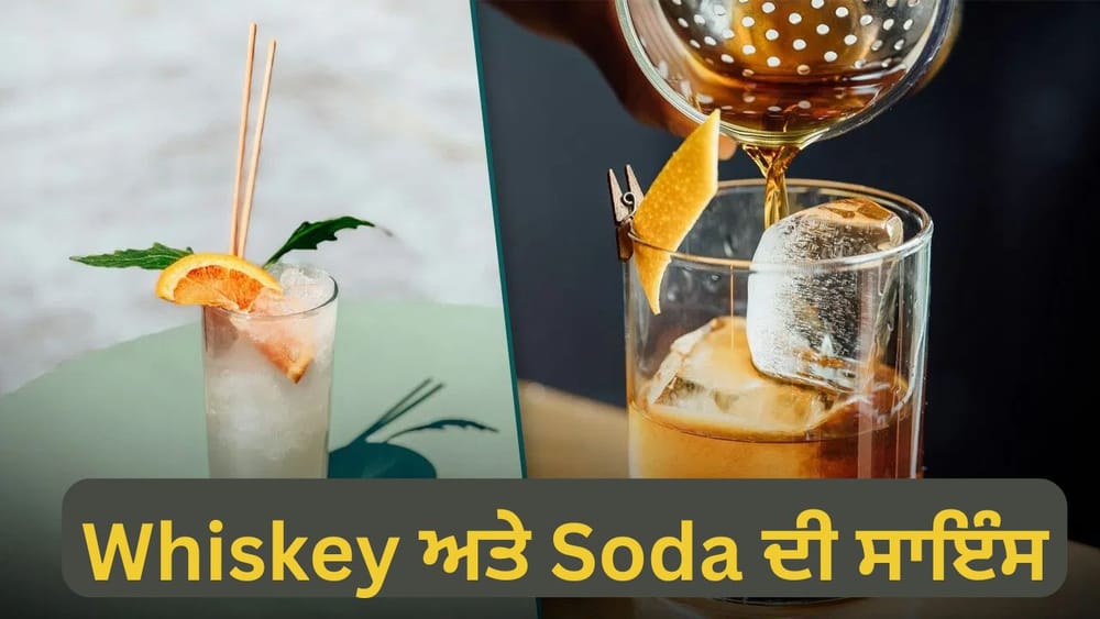 ਵਿਸਕੀ ਪੀਣ ਵਿੱਚ ਪਿੱਛੇ ਨਹੀਂ ਹੈ ਭਾਰਤ ... ਭਾਰਤ ਉਨ੍ਹਾਂ ਦੇਸ਼ਾਂ ਵਿੱਚੋਂ ਇੱਕ ਹੈ ਜਿੱਥੇ ਸਭ ਤੋਂ ਵੱਧ ਵਿਸਕੀ ਦੀ ਖਪਤ ਹੁੰਦੀ ਹੈ। ਰਿਸਰਚ ਪਲੇਟਫਾਰਮ ਸਟੈਟਿਸਟਾ ਦੀ ਰਿਪੋਰਟ ਦੇ ਅਨੁਸਾਰ, ਭਾਰਤ ਵਿੱਚ ਵਿਸਕੀ ਦੀ ਹਰ ਦੂਜੀ ਬੋਤਲ ਵਿਕਦੀ ਹੈ। ਦੇਸ਼ ਵਿੱਚ ਪ੍ਰਤੀ ਵਿਅਕਤੀ 2.6 ਲੀਟਰ ਵਿਸਕੀ ਦੀ ਖਪਤ ਹੁੰਦੀ ਹੈ। ਭਾਰਤ ਵਿੱਚ ਸੋਡਾ ਮਿਲਾ ਕੇ ਵਿਸਕੀ ਪੀਣ ਦੀ ਪਰੰਪਰਾ ਰਹੀ ਹੈ। ਹੁਣ ਸਵਾਲ ਇਹ ਹੈ ਕਿ ਸੋਡਾ ਨਾਲ ਵਿਸਕੀ ਕਿਉਂ ਲਈ ਜਾਂਦੀ ਹੈ। ਵਾਈਨ ਮਾਹਰ ਸੋਨਲ ਹਾਲੈਂਡ ਤੋਂ ਜਵਾਬ ਜਾਣੋ। (Pic: Unsplash)