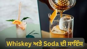 Knowledge : ਵਿਸਕੀ ਵਿੱਚ ਸੋਡਾ ਮਿਲਾ ਕੇ ਕਿਉਂ ਪੀਂਦੇ ਹਨ ਭਾਰਤੀ? ਮਾਹਿਰਾਂ ਤੋਂ ਪੂਰਾ ਸਮਝੋ ਪੂਰੀ ਸਾਇੰਸ